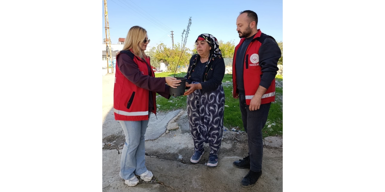 Besni’de Yaşlılara Fidan Dağıtıldı