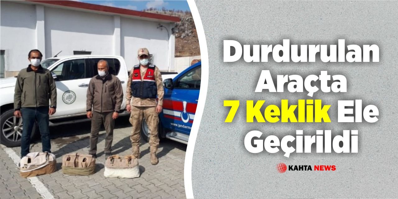 Durdurulan Araçta 7 Keklik Ele Geçirildi