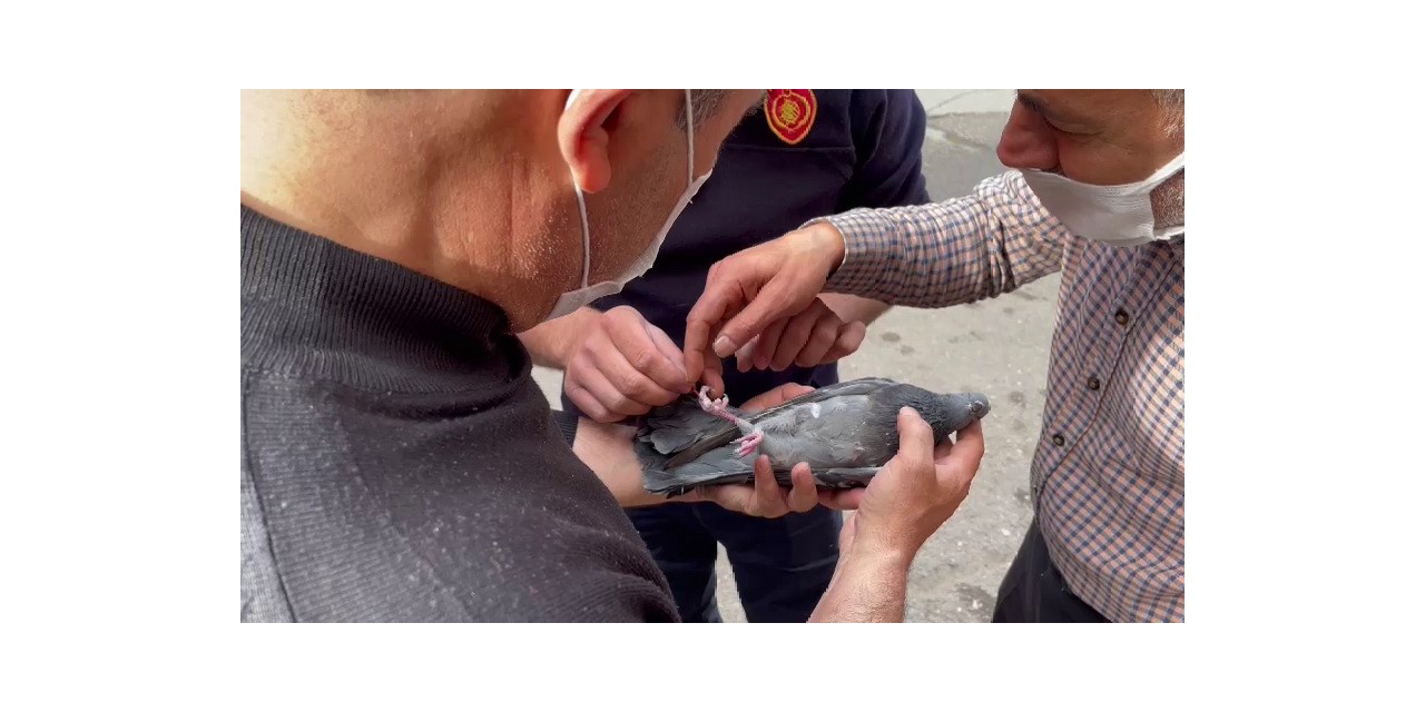 Klima Motorunda Mahsur Kalan Güvercin Kurtarıldı