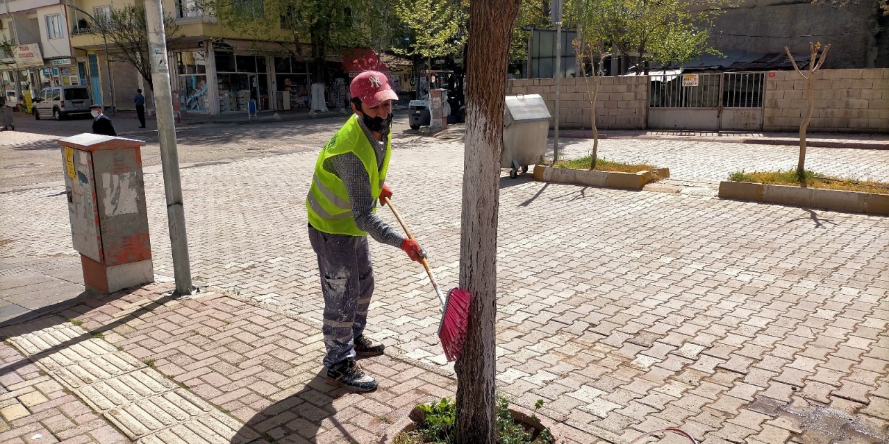 Gölbaşı Belediyesi Ağaçları Kireçliyor