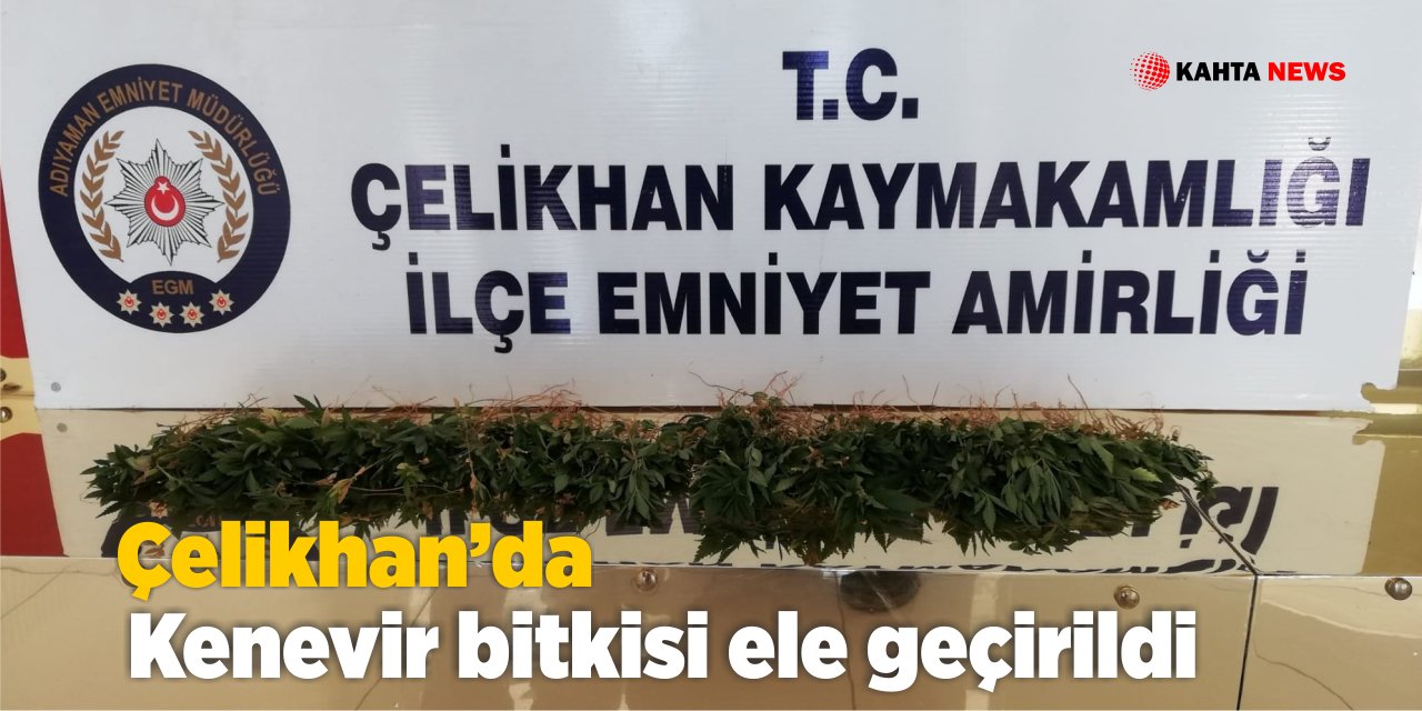 Çelikhan’da Kenevir Bitkisi Ele Geçirildi