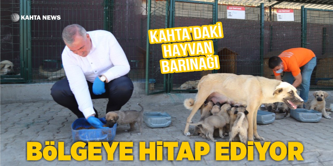 Kahta’daki Hayvan Barınağı Bölgeye Hitap Ediyor