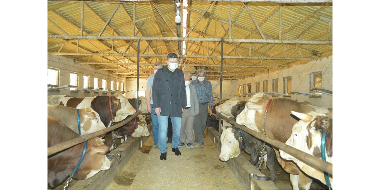 Kaymakam Uçar, Çiftlikte İncelemelerde Bulundu