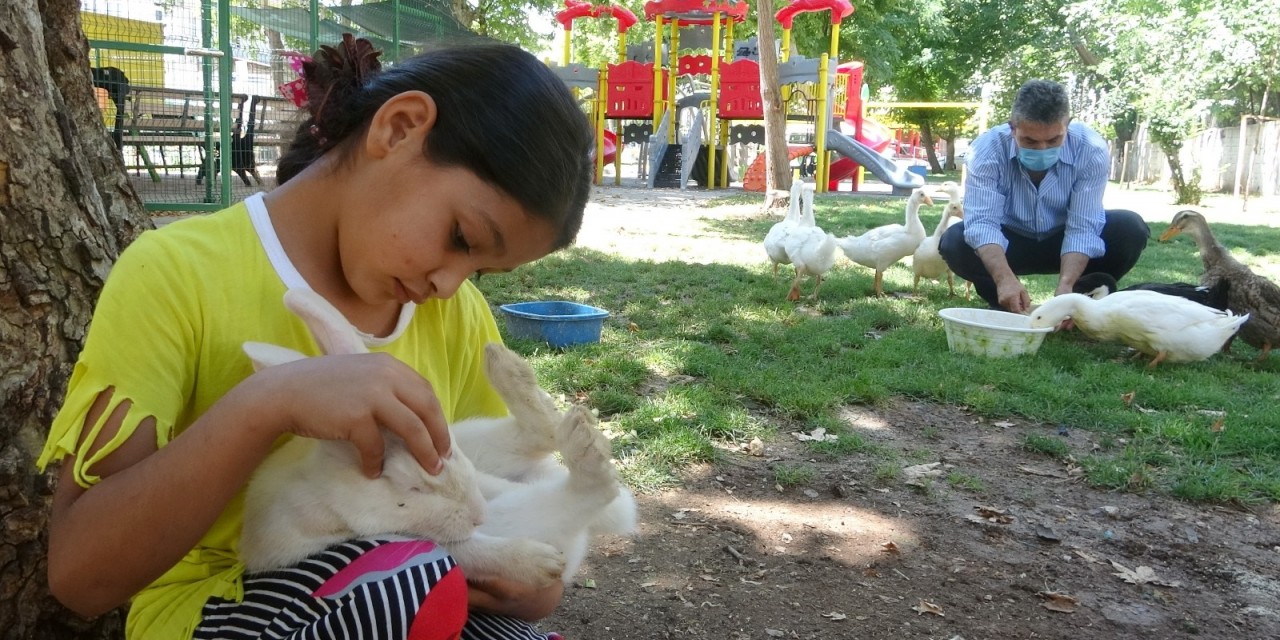 Mahalle Muhtarı, Çocuklar İçin Mini Hayvanat Bahçesi Yaptı