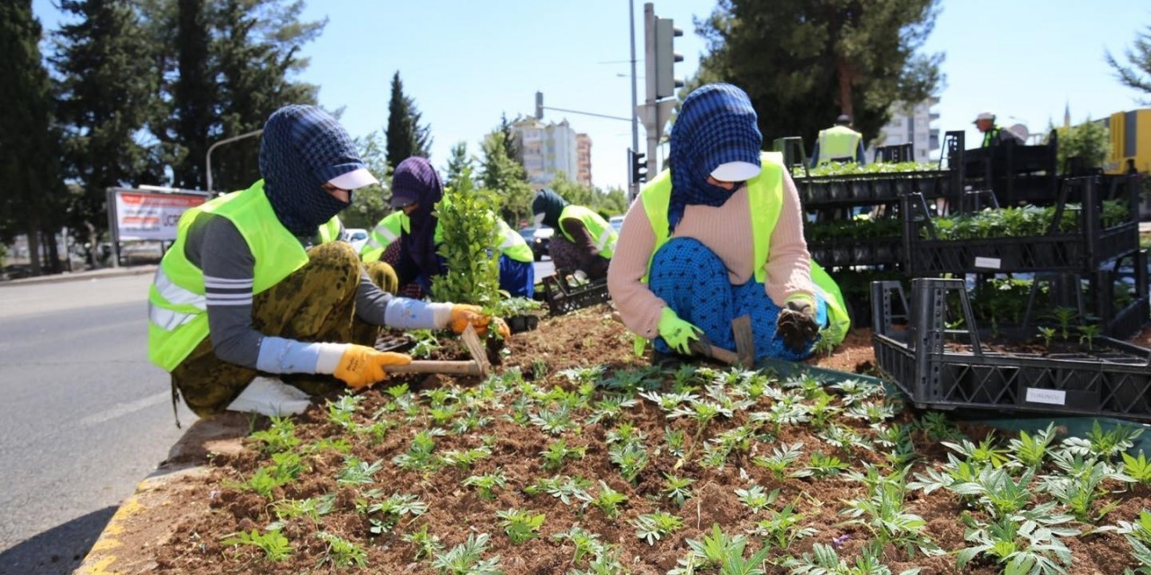 Refüj Ve Kavşaklarda Bakım Çalışmaları