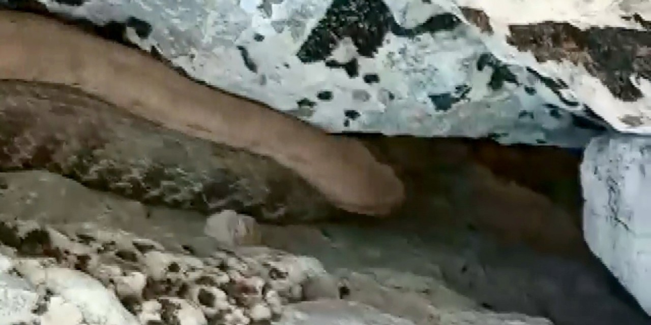 Bir Tarafta Zehirli Yılanla Konuşanlar, Bir Tarafta Yılanı Taşlayanlar