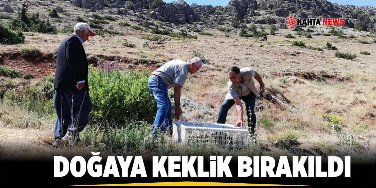 Doğaya Keklik Bırakıldı