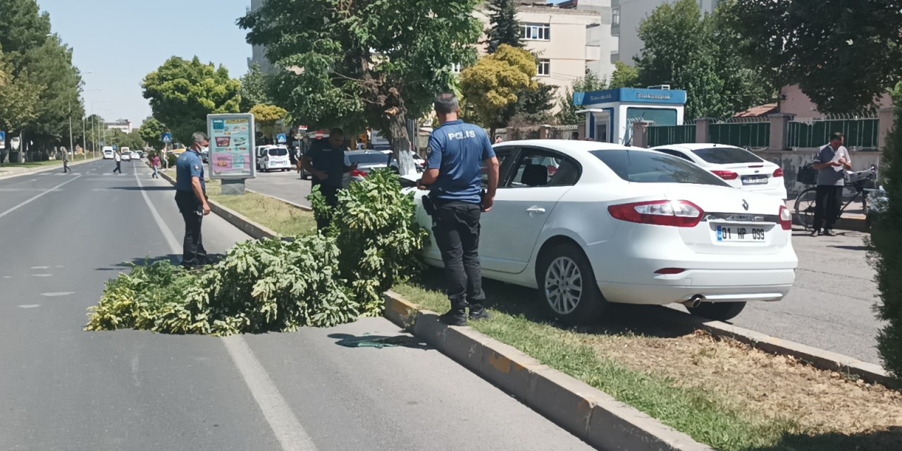 Direksiyon Başında Kalp Krizi Geçiren Öğretim Görevlisi Hayatını Kaybetti