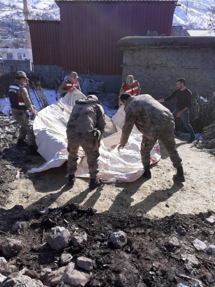 Jandarma Ekipleri, Adıyaman’da Depremzedelere Çadır Dağıttı