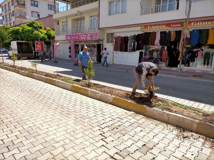 Gölbaşı Belediyesi Ağaçlandırma Çalışmalarına Başladı