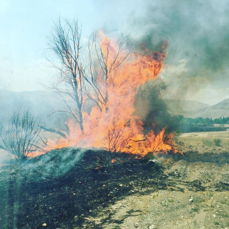 Ormanlık Bölgede Çıkan Yangın Korkuttu