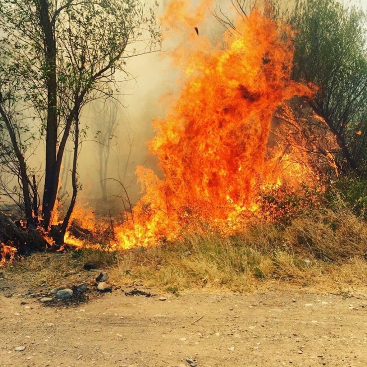 Ormanlık Bölgede Çıkan Yangın Korkuttu
