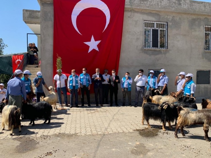 İbrahim Tatlıses Demokrasi Şehitleri İçin 100 Kurban Kestirdi