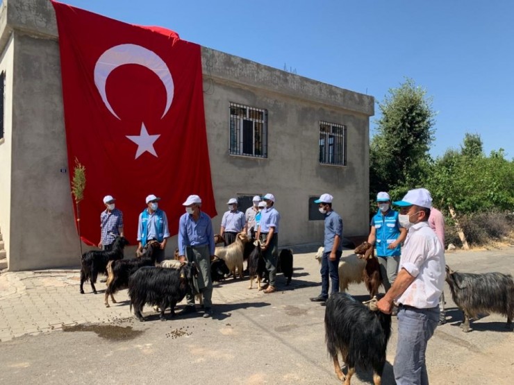 İbrahim Tatlıses Demokrasi Şehitleri İçin 100 Kurban Kestirdi