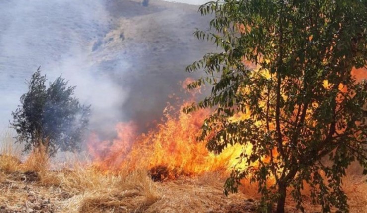 Kahta’da Meyve Ağaçlarının Da Bulunduğu Alanda Yangın