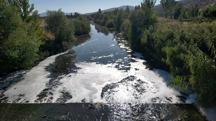 Adıyaman’da Korkutan Toplu Balık Ölümleri