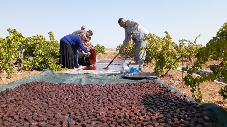 Bağlar Pestil Tarlasına Döndü