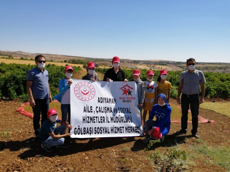 Öğrenciler Üzüm Bağlarını Gezdi