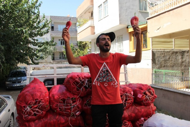 Şarkı Söyleyerek Sokak Sokak Salçalık Biber Satıyor