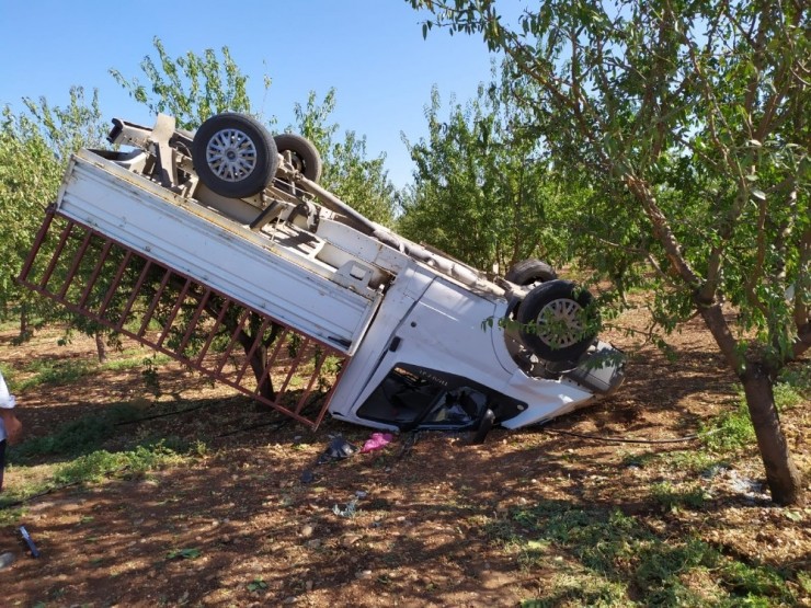 Rampa Çıkan Kamyonet Takla Attı: 3 Yaralı