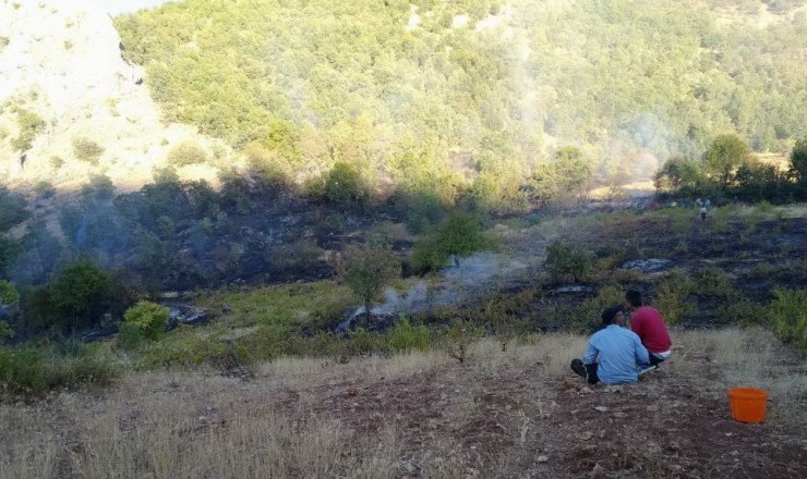 Adıyaman’da Orman Yangınına İtfaiye Müdahale Etti