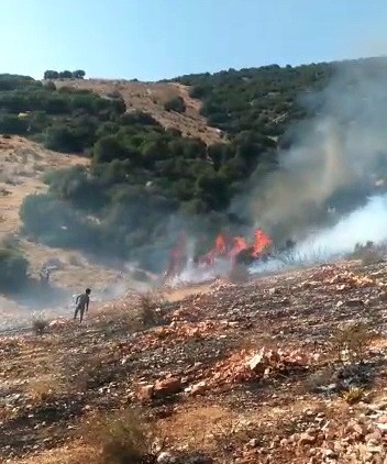 Orman Yangını Paniğe Neden Oldu