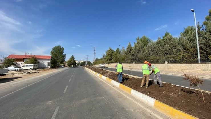 Organize Sanayi Caddesinde Ağaçlandırma Çalışması