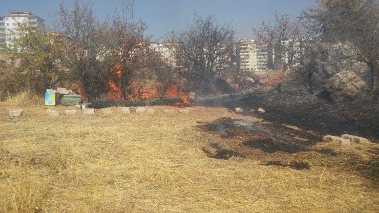 Besni’de Bahçe Yangını Ağaçlara Zarar Verdi