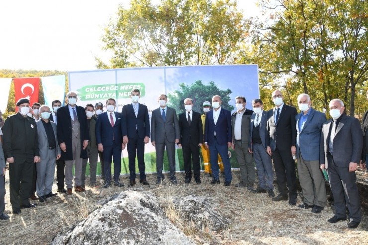 Adıyaman’da 82 Bin Ağaç Fidan Dikildi