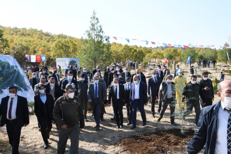 Adıyaman’da 82 Bin Ağaç Fidan Dikildi