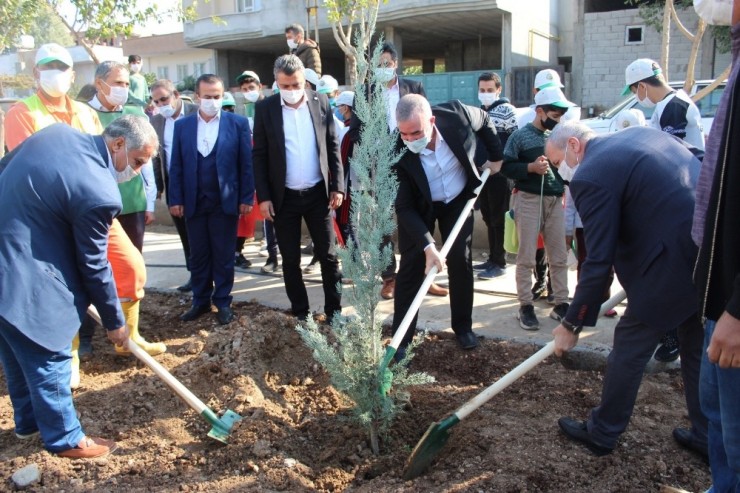 Kahta Belediyesinden Ağaç Dikme Etkinliği