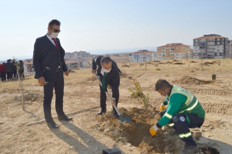 Besni’de Fidan Dikimi Gerçekleştirildi