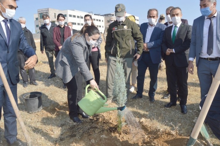 Besni’de Fidan Dikimi Gerçekleştirildi