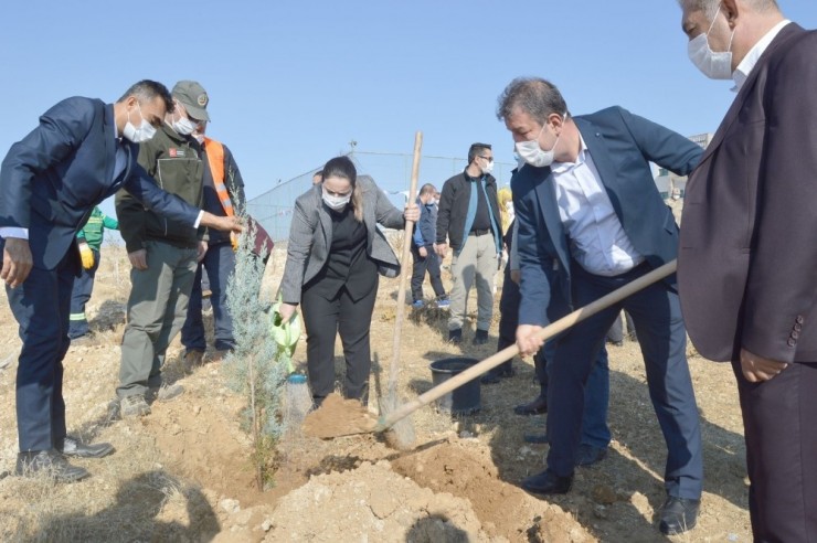 Besni’de Fidan Dikimi Gerçekleştirildi