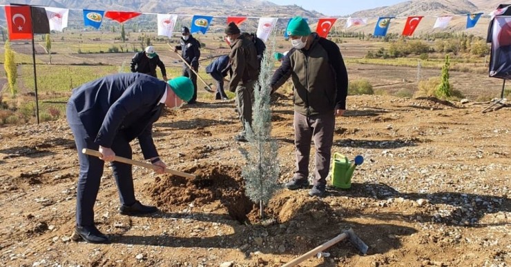 Çelikhan’da Fidanlar Toprakla Buluşturuldu