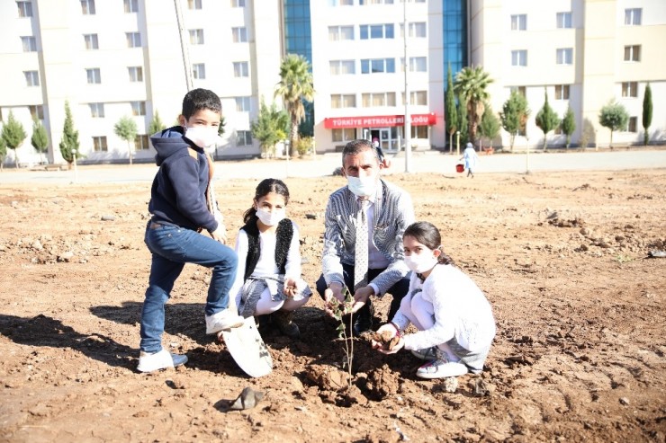 Adıyaman’da Fidan Dikimleri Devam Ediyor