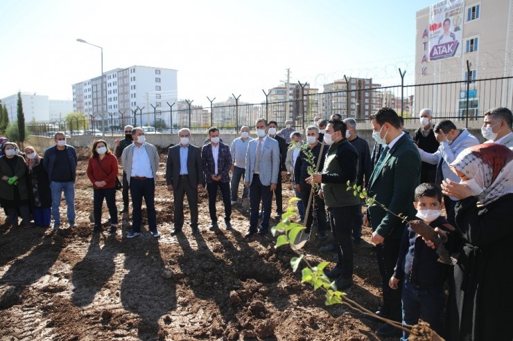 Adıyaman’da Fidan Dikimleri Devam Ediyor