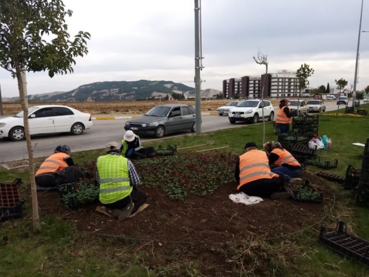 Yeşil Alanlarda Mevsimsel Bakım Çalışmaları Yapılıyor