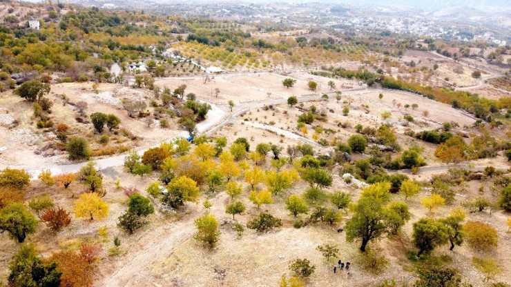 Tut’ta Yayla Evleri İçin Ayrılan Parsellerde Talep Patlaması Yaşanıyor