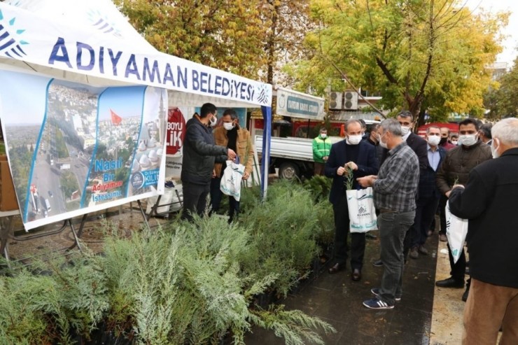 10 Bin Tohumlu Kalem, Bin 954 Adet Fidan Dağıtıldı