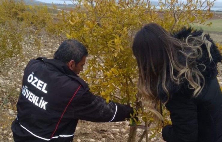 Çiftçilere Budama Teknikleri Öğretildi