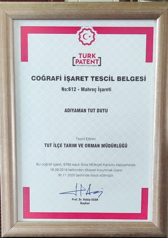 Tut’un Dut Meyvesi Coğrafi İşaret Aldı