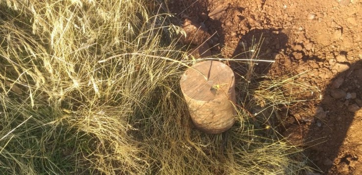 Adıyaman’da Kova İçine Gizlenmiş Patlayıcı Madde Bulundu