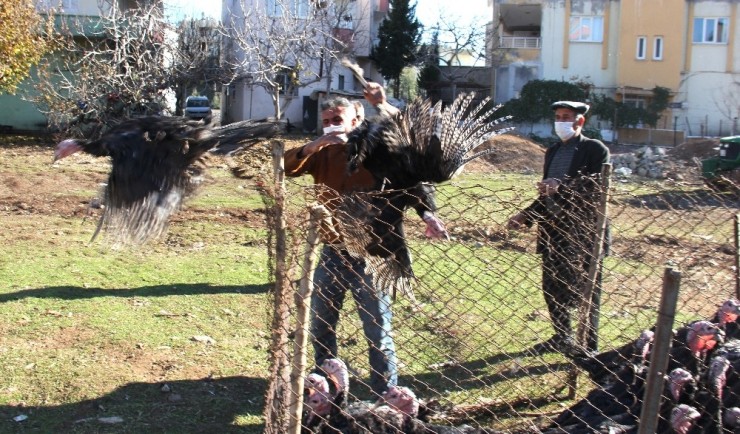 Yılbaşı Kısıtlaması Hindi Satıcılarına Yaradı