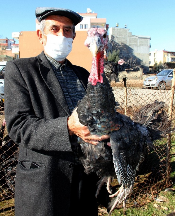 Yılbaşı Kısıtlaması Hindi Satıcılarına Yaradı