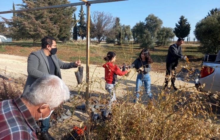 Kardeşler, Sosyal Medya Üzerinden Ağaç Dikme Kampanyası Başlattı