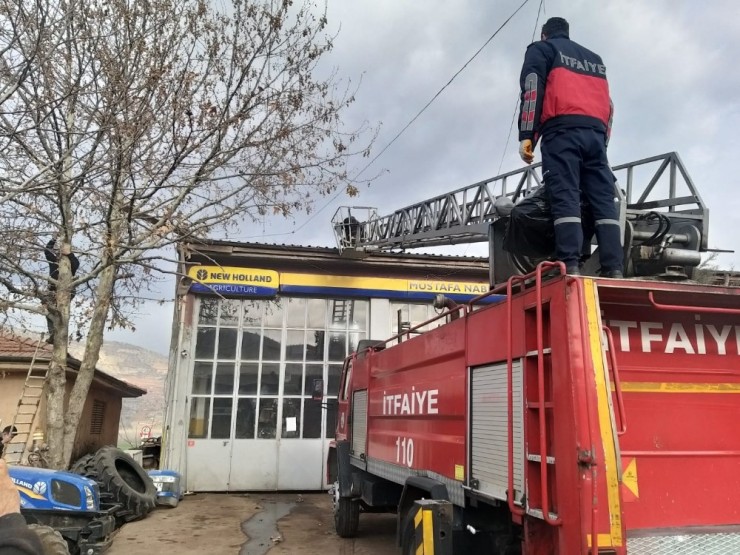 Çatıda Mahsur Kalan Kediyi İtfaiye Ekipleri Kurtardı