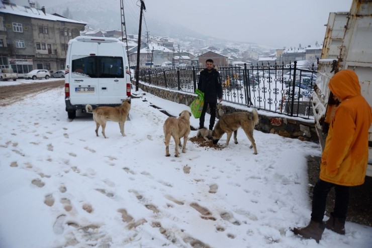 Çelikhan’da Kar Yağışı Etkili Oldu