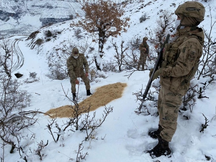 Jandarma Yaban Hayvanlarını Unutmadı