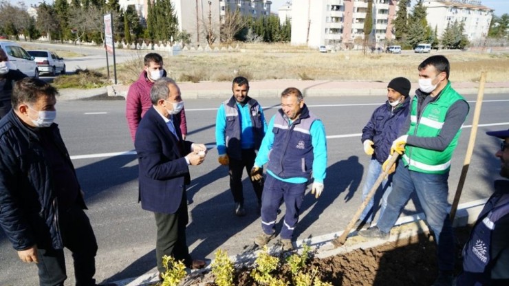 Başkan Kılınç, Refüje Çiçek Dikti